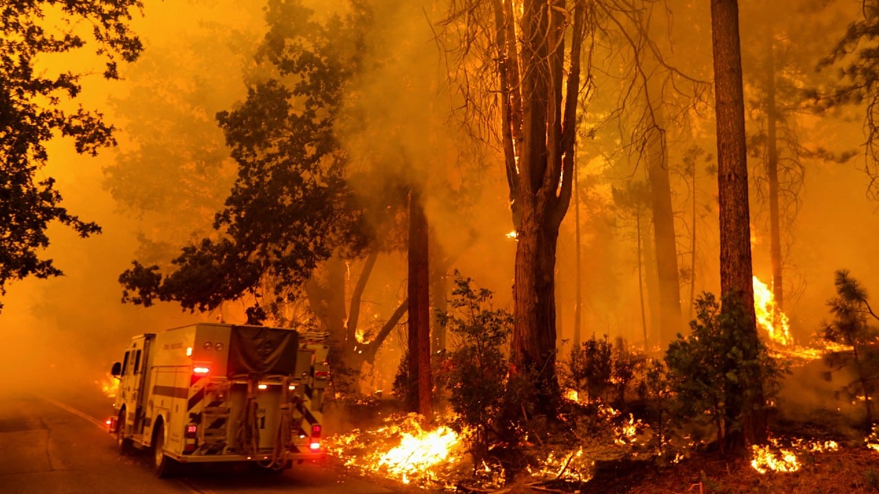 Feroz incendio forestal en California arrasa con más de seis mil hectáreas