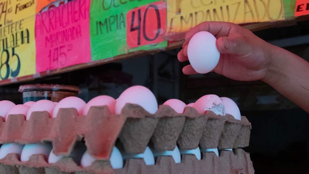 precio del huevo, cuartoscuro