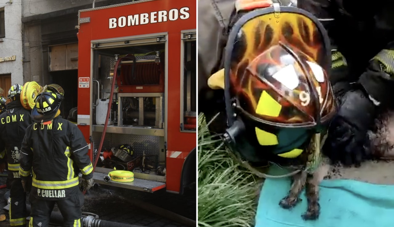 Bomberos de CDMX ayudan a perro tras incendio en Iztapalapa