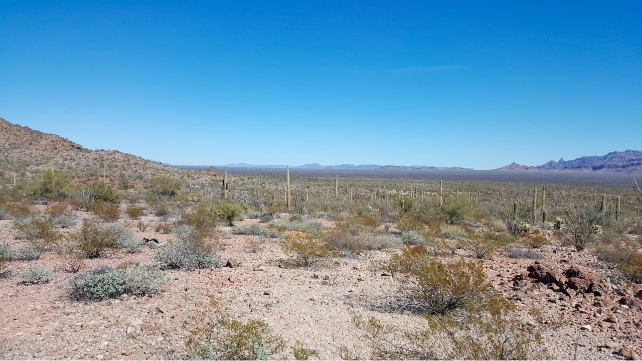 Fotografía que muestra un sector del Desierto de Arizona, en la frontera con México.