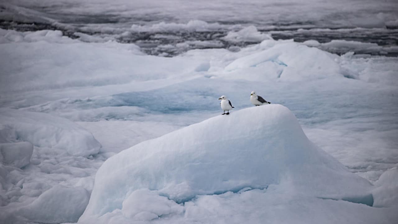 Estudio revela calentamiento acelerado en el Ártico