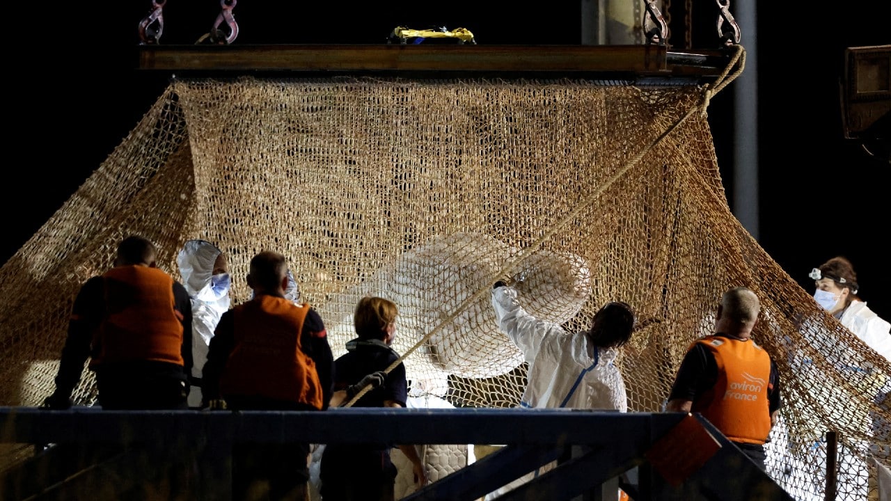 Rescatistas franceses extraen a la beluga perdida del río Sena