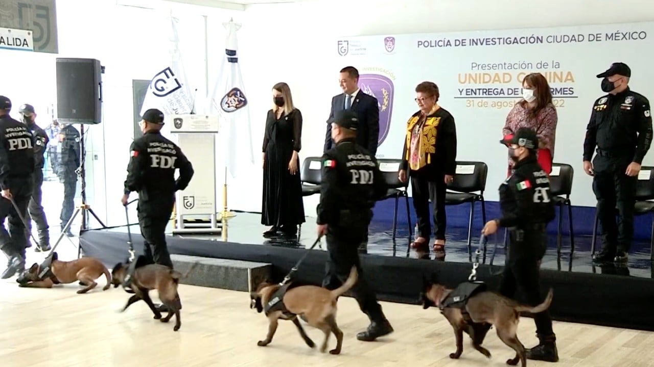 Presentan a 4 nuevos agentes caninos de la FGJCDMX