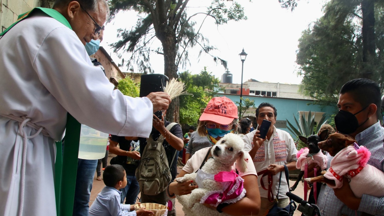 Fotos: Con bendición de perritos celebran a San Ramón en Oax