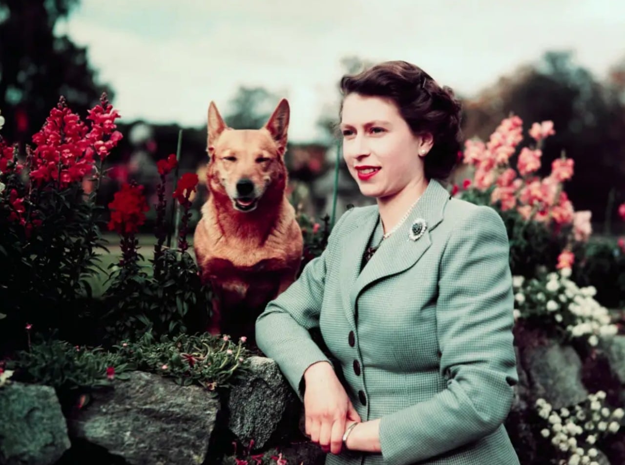 Reina Isabel II: ¿qué pasará con sus perros corgis?