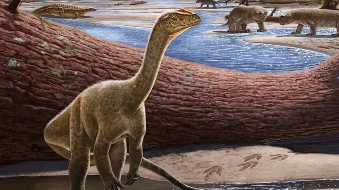 Descubren al dinosaurio más antiguo de África.