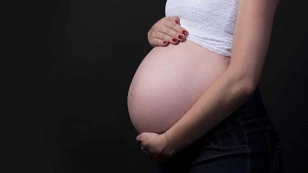 Mujer embarazada (Pixabay)