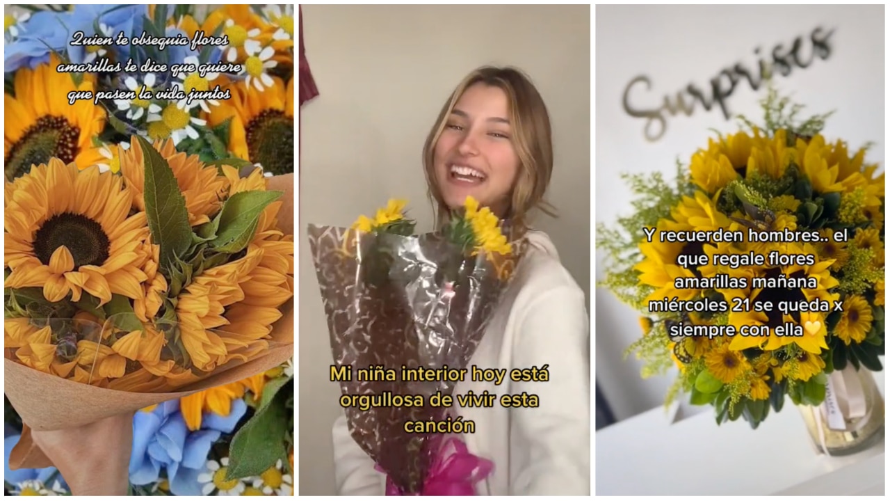 flores amarillas, primavera, Floricienta, TikTok, captura de pantalla