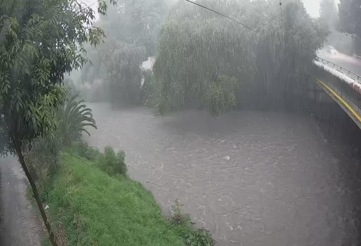 Lluvia intensa en Puebla causa encharcamientos y la caída de un árbol