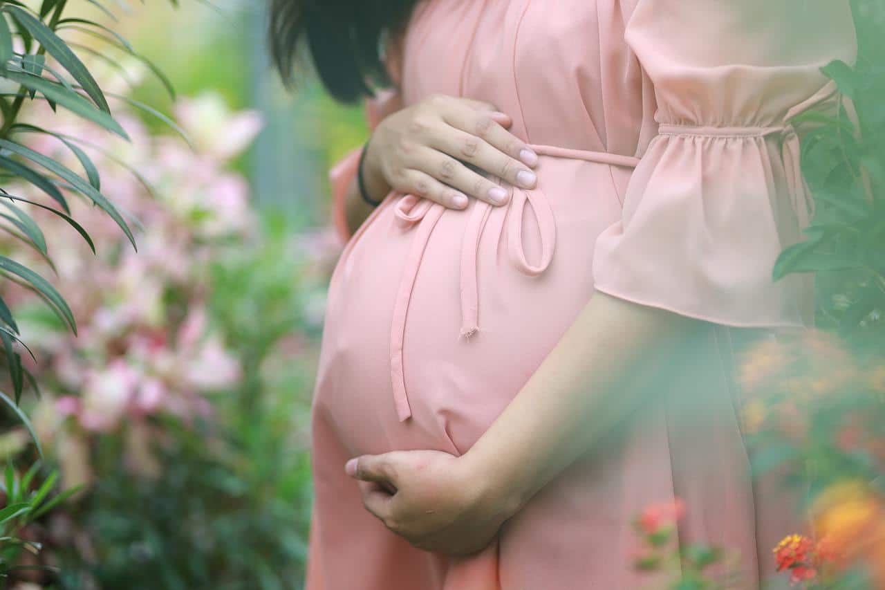Embriones congelados elevan riesgo hipertensión en embarazo