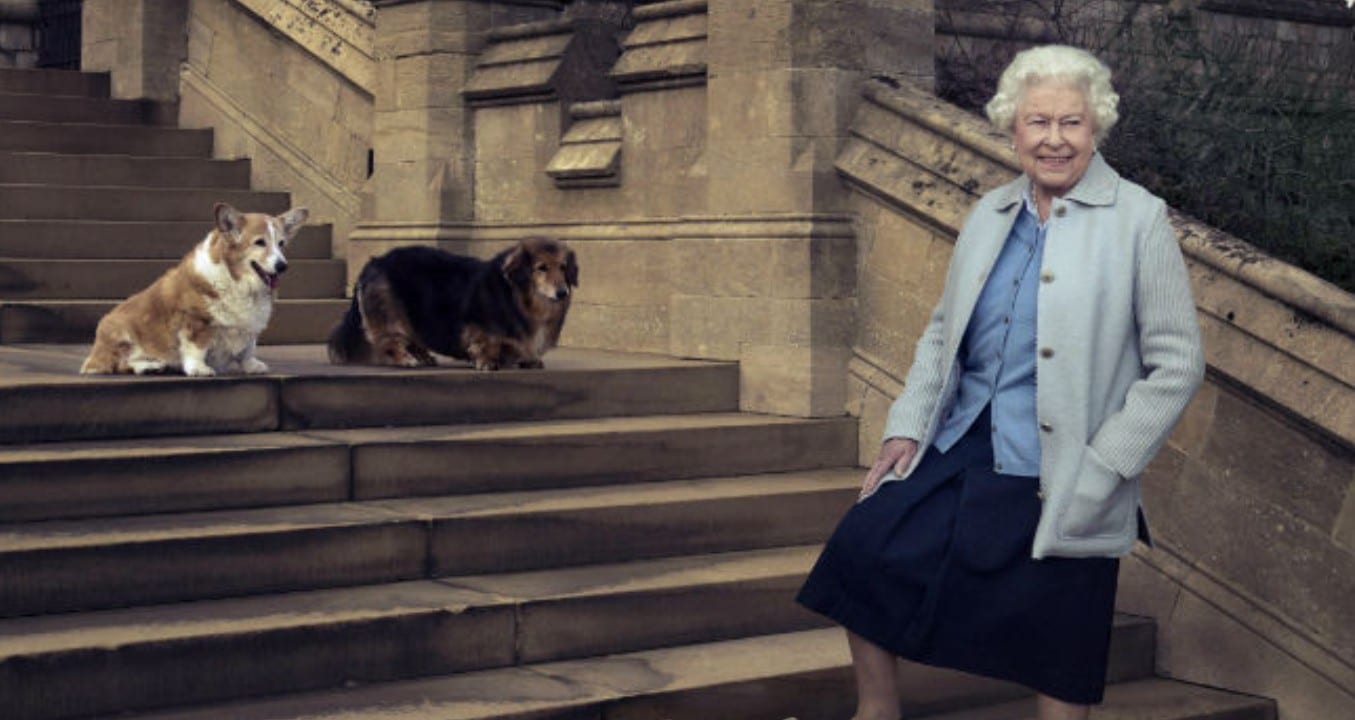La reina Isabel II posando con varios de sus perritos corgis. Fuente: Reuters