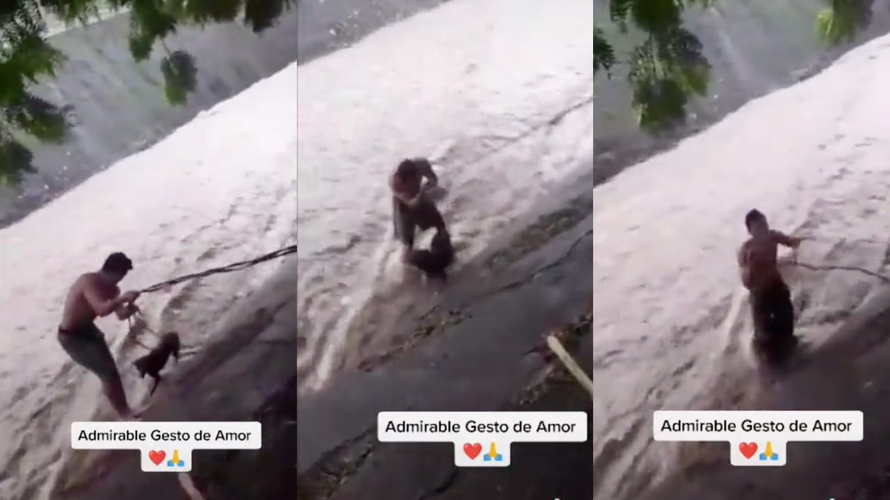 Boxeador salva a un perro durante ciclón Julia, en Nicaragua