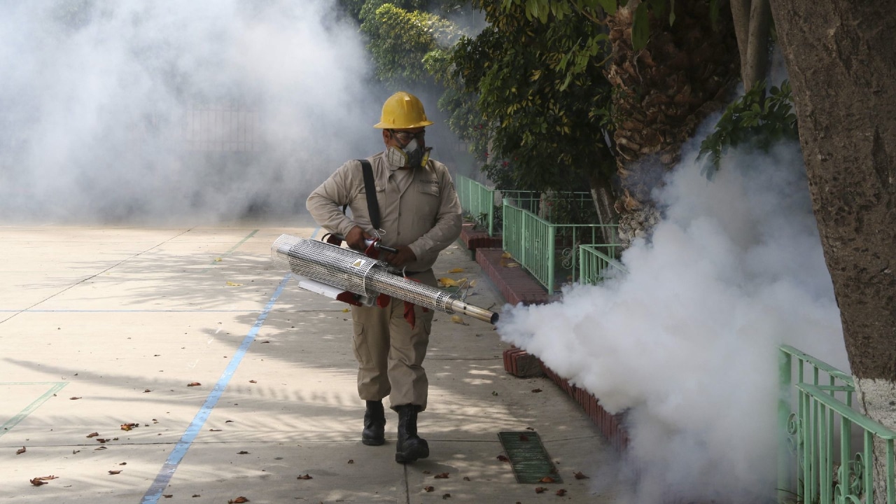 Trabajadores del área de vectores del sector salud realizan programa de fumigación.